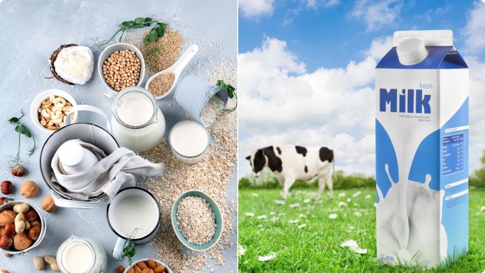 So sánh sữa hạt và sữa bò có gì khác nhau? Loại nào tốt hơn?